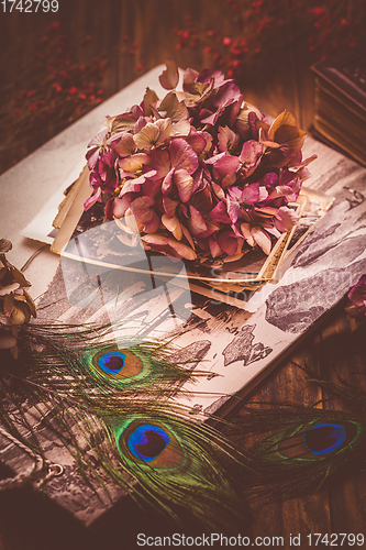 Image of Untitled