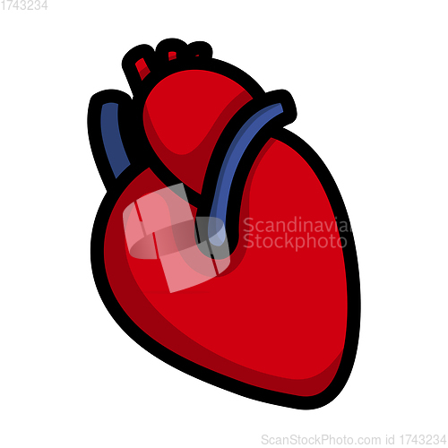 Image of Human Heart Icon