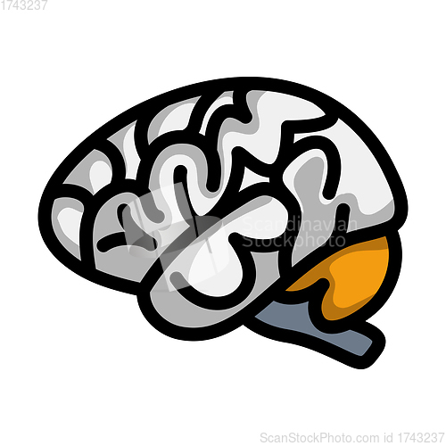 Image of Brain Icon