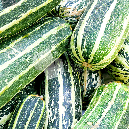 Image of Zucchini