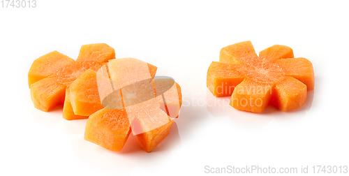 Image of fresh raw carrot flowers