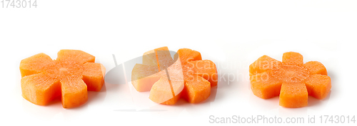 Image of fresh raw carrot flowers