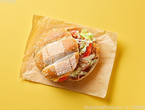 Image of fresh tasty burger