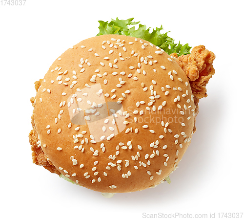 Image of fresh tasty burger
