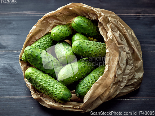 Image of fresh green cucumbers in paper bag