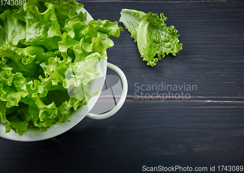 Image of fresh green lettuce leaves