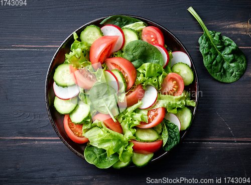 Image of plate of fresh vegetable salad