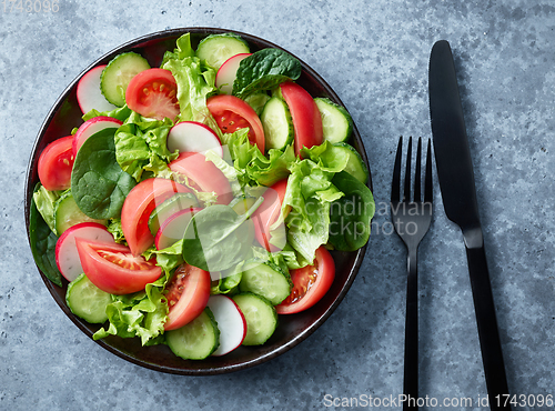 Image of plate of fresh vegetable salad