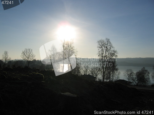 Image of Sunshine winter