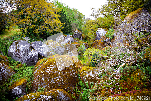 Image of Boulders in the forest at Huelgoat in Brittany