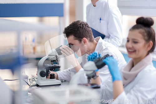 Image of Group of young medical students doing research