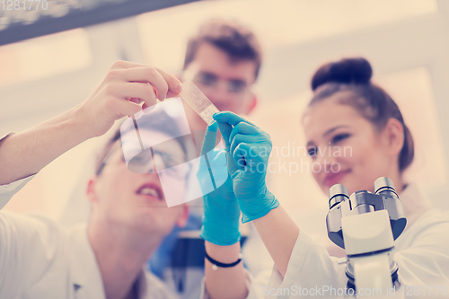 Image of Group of young medical students doing research