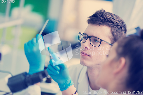 Image of Group of young medical students doing research