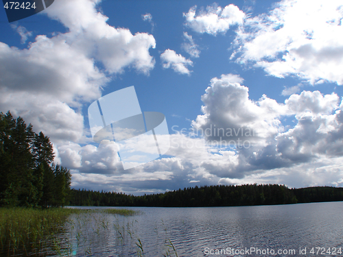 Image of Forest lake
