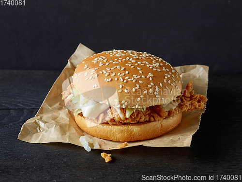 Image of fresh tasty chicken burger