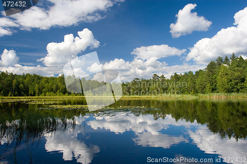 Image of summer scene