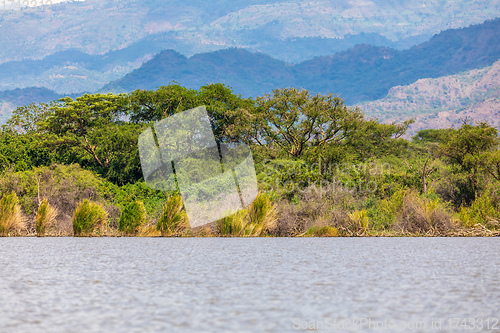 Image of Lake Chamo landscape, Ethiopia Africa