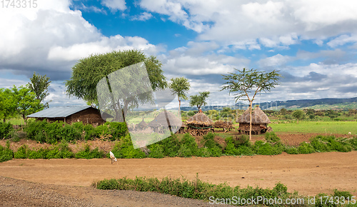 Image of mountain landscape with farm, Ethiopia