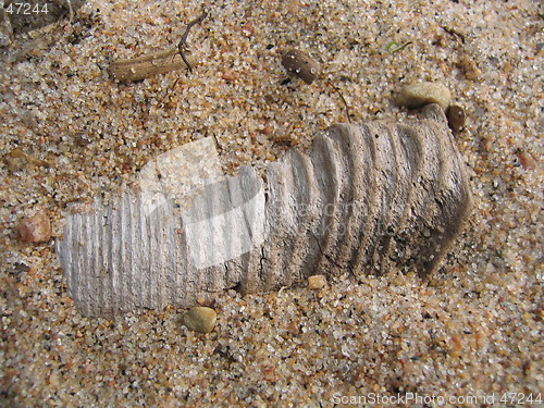 Image of Wood in sand