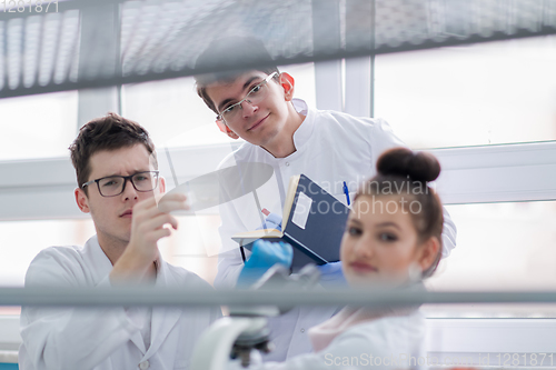 Image of Group of young medical students doing research