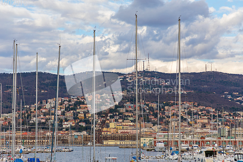 Image of Marina Trieste