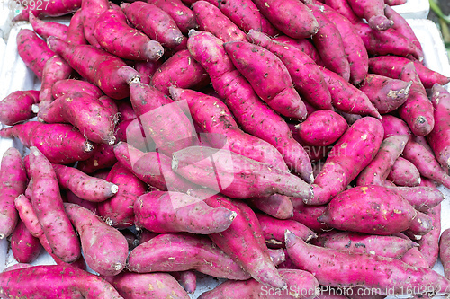 Image of Pink Sweet Potatoes