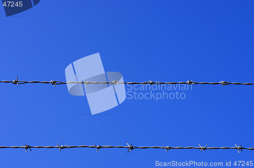 Image of Barbed wire fence detail