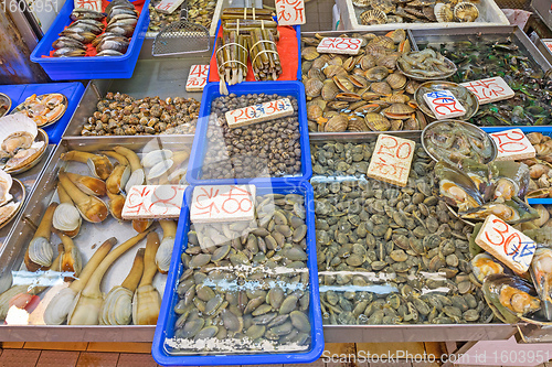 Image of Shells Clams