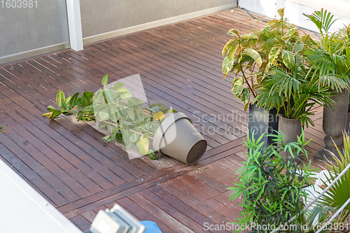 Image of Overturned Flower Pot 