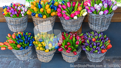 Image of Ceramic Tulips Baskets