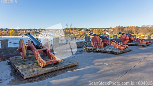 Image of Fortification Guns