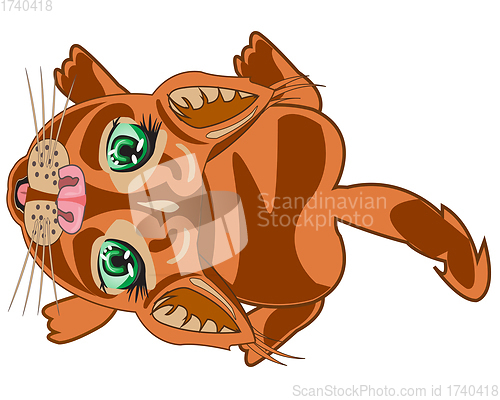 Image of Vector illustration home animal cat type overhand