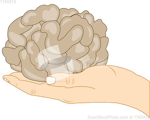 Image of Vector illustration of the brain of the person on palm