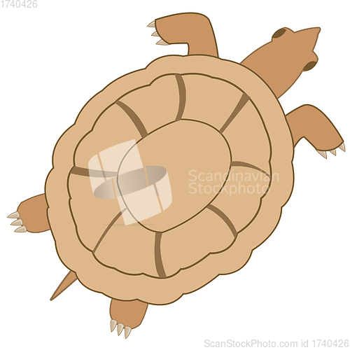 Image of Vector illustration grovelling animal terrapin type overhand