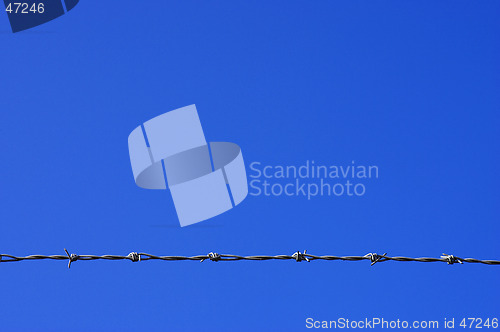 Image of Barbed wire fence detail