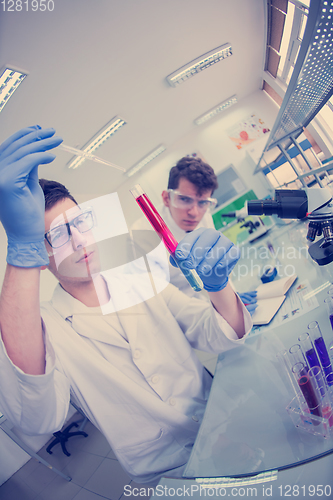 Image of Group of young medical students doing research