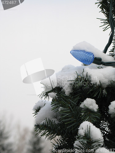 Image of christmas light covered with snow