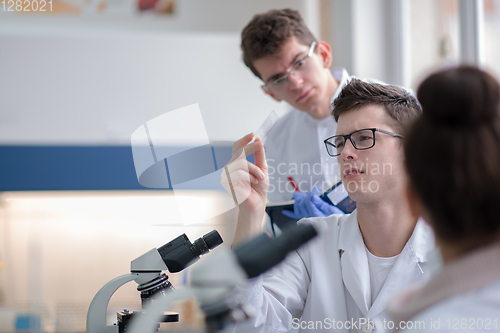 Image of Group of young medical students doing research