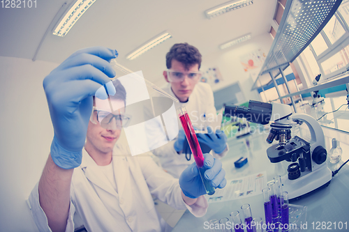 Image of Group of young medical students doing research