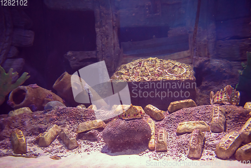 Image of empty aquarium decor