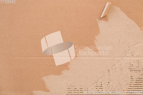 Image of Torn corrugated cardboard.