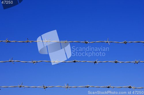 Image of Barbed wire fence detail