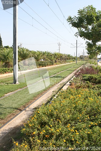 Image of plants and rail