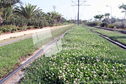 Image of rail flowers