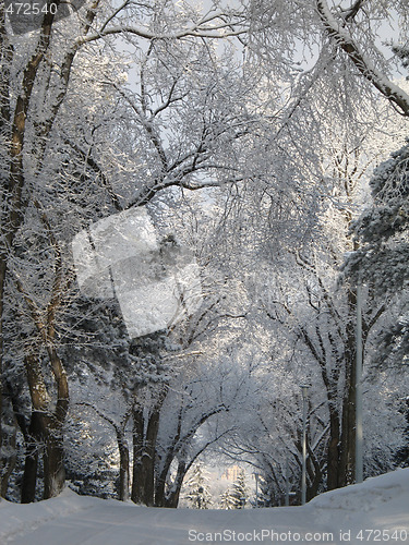 Image of road covered with snow