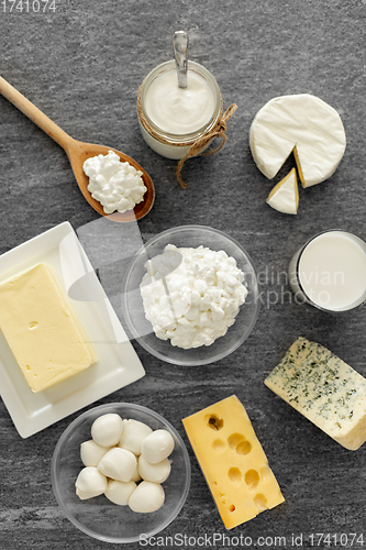 Image of different kinds of cheese, milk, yogurt and butter