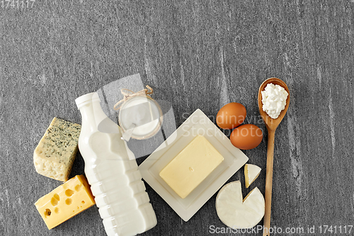 Image of different kinds of cheese, milk, yogurt and butter