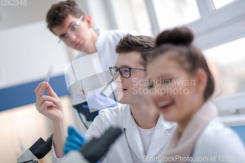 Image of Group of young medical students doing research