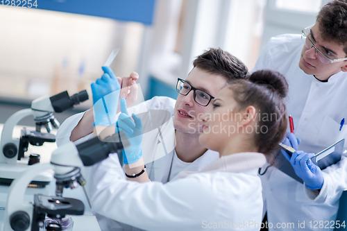 Image of Group of young medical students doing research