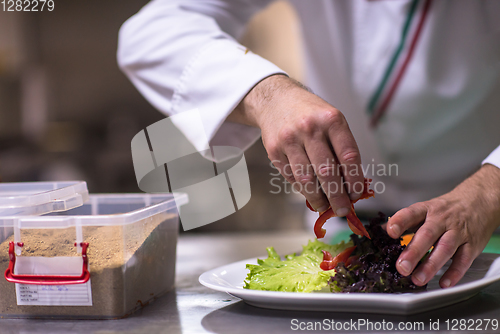 Image of chef serving vegetable salad